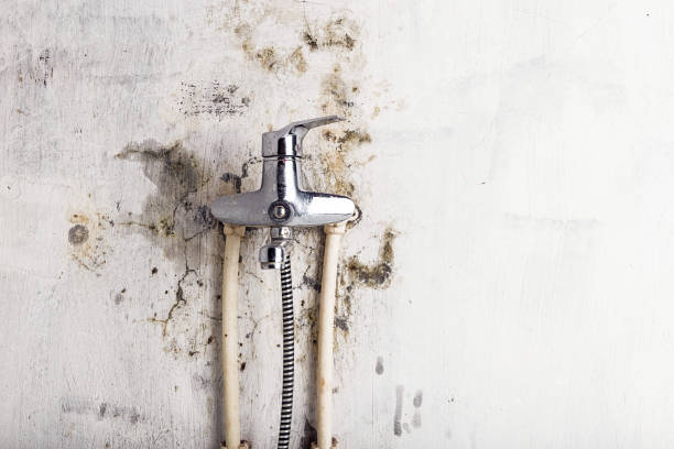Best Office Mold Removal Services  in Monson Center, MA