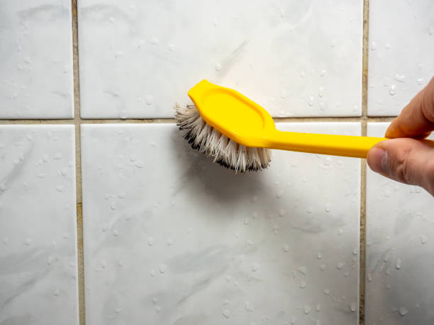 Best Mold Removal Company Near Me  in Monson Center, MA