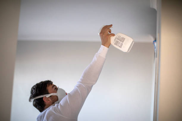 Best Home Mold Removal  in Monson Center, MA