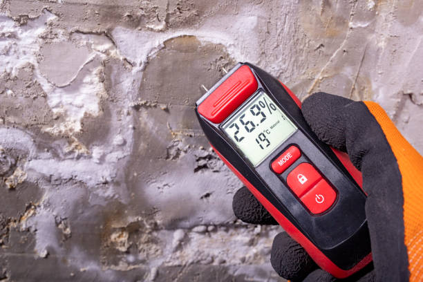 Best Fast Mold Removal  in Monson Center, MA