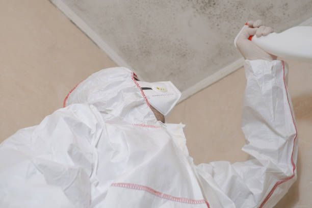 Best Mold Testing  in Monson Center, MA